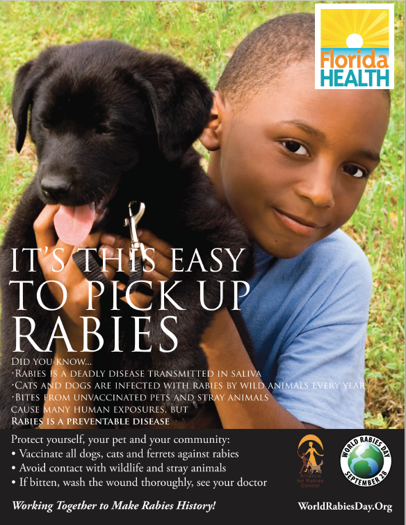 it's this easy to pick up rabies-poster