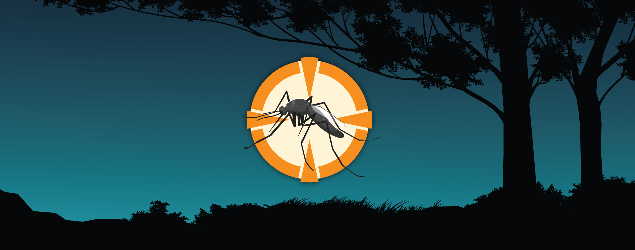 Image of a mosquito